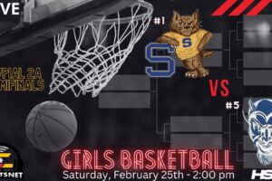 #1 Shenango Wildcats vs. #5 Burgettstown Blue Devils – WPIAL Girls Basketball – 2A Semifinals – Feb. 25, 2023