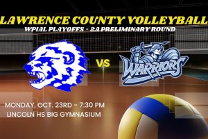 Ellwood City Wolverines vs Central Valley Warriors – WPIAL Girls Volleyball Playoffs – 2A Preliminary Round –